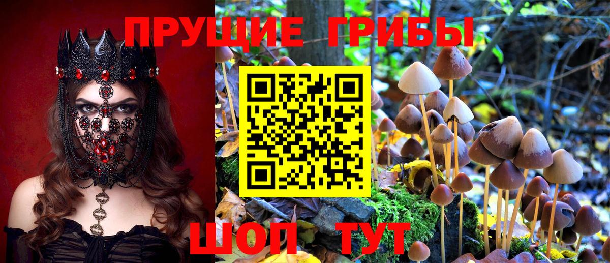 Псилоцибиновые грибы Magic Shrooms  Вход с VPN  Котельники 