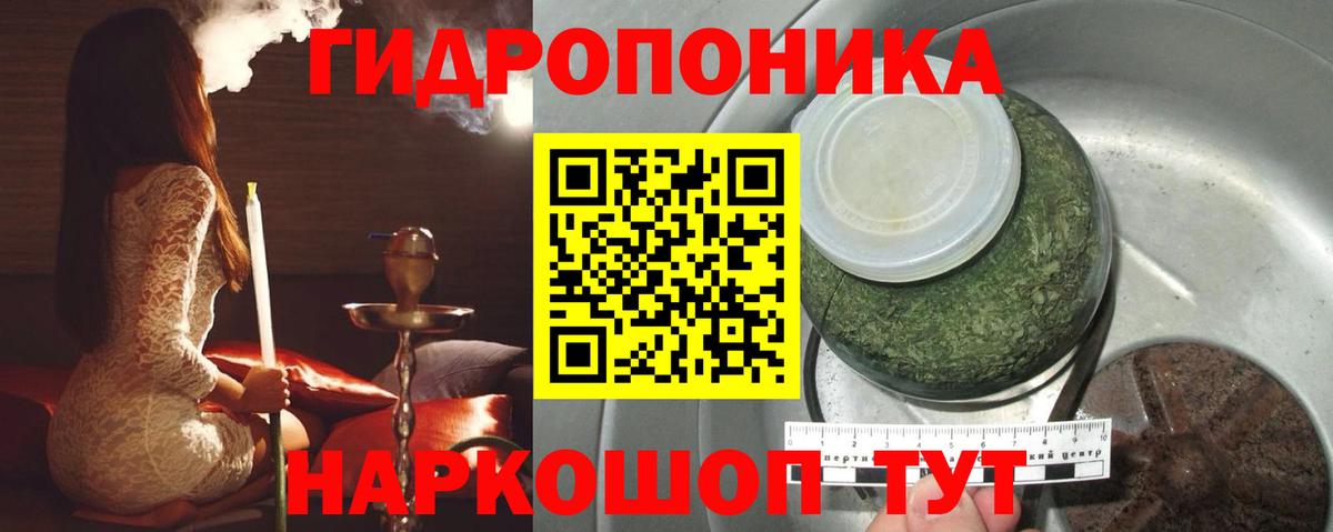 Бошки Шишки планчик Котельники
